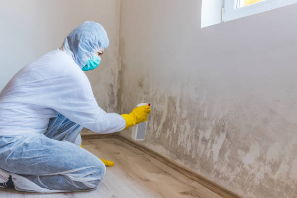 Licensed Mold Remediation service in Plainview, TX - WQB Mold Removal