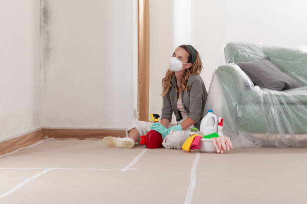 Reliable Mold Remediation contractor in Plainview, TX by WQB Mold Removal